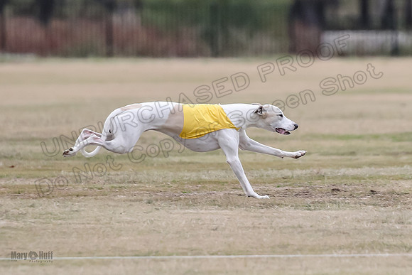 Finals Open 2 Cheese PeteySue Treble-3944