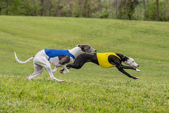 Prelims Open A2, Poppy Mateo Misty-3184