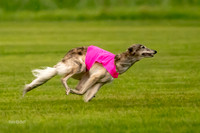 Prelim Open Silken-0392