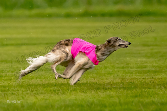 Prelim Open Silken-0392