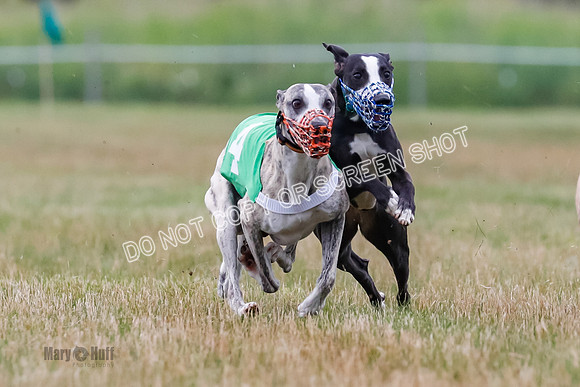 Prg 3, Race 4, Rowan-Jett-Blaze-Shimmy-Bogie-1137