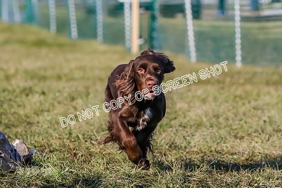 MCH74669