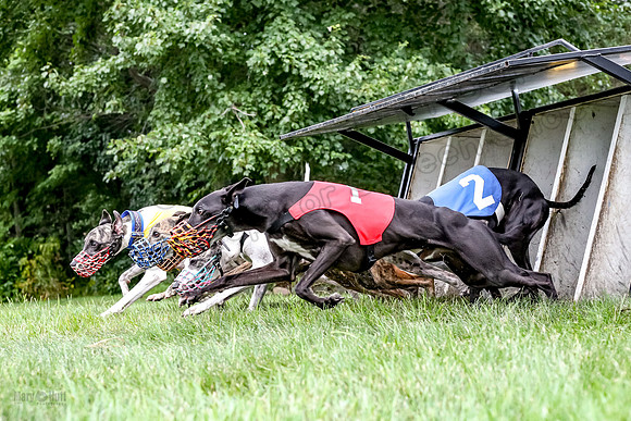 prg 1 race 3 Julian Guy Valerie Meatloaf Rhylie Quinn-3556