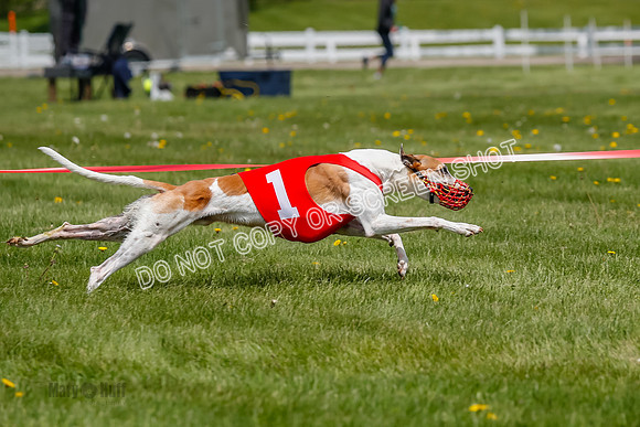 NOTRA Program 3, Race 5, Shakespeare Tsunami Bibi Kraken-2-14