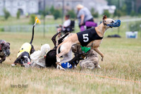 SATURDAY RACING