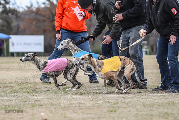Finals Open 1 Steel Maverick Eggsy-3834