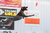 3H-BH-0810-PMDistanceJump-2128