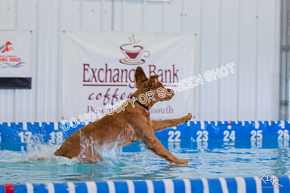 3H-BH-0810-PMDistanceJump-2208
