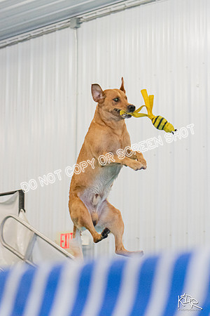 3H-BH-0810-PMDistanceJump-2389