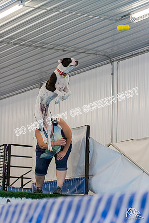 3H-BH-0810-PMDistanceJump-2395