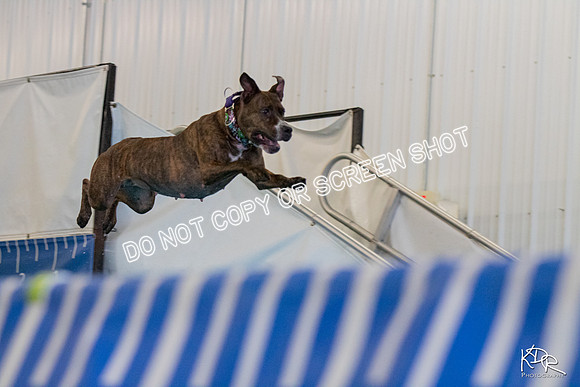 3H-BH-0810-PMDistanceJump-2407