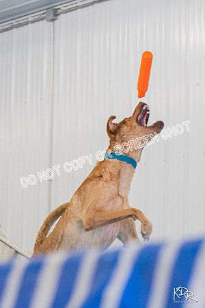 3H-BH-0810-PMDistanceJump-2432