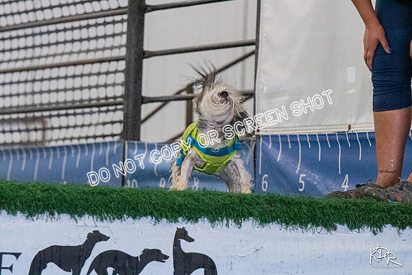 3H-BH-0810-PMDistanceJump-2543