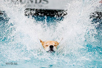 Splash 8, Sunday