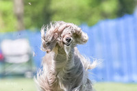AE4I6388