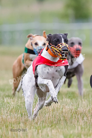 Prg 3, Race 2, Chuck-Tusi-Smokey-Raz-Angel-Nathalia-1055
