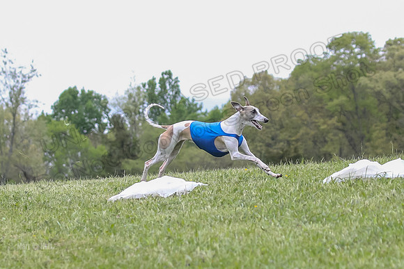 Finals Open C2, Tessa Squiggle Shimmy-0690