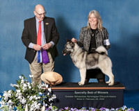 Elkhound 2020-1108-Edit