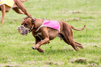 MCH79356