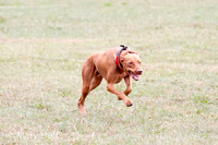 IMG_0019