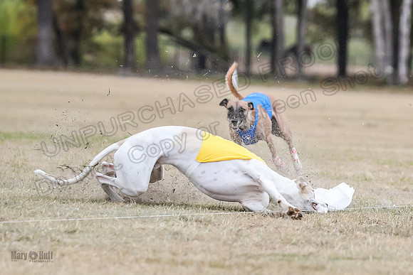 Finals Open 2 Cheese PeteySue Treble-3968