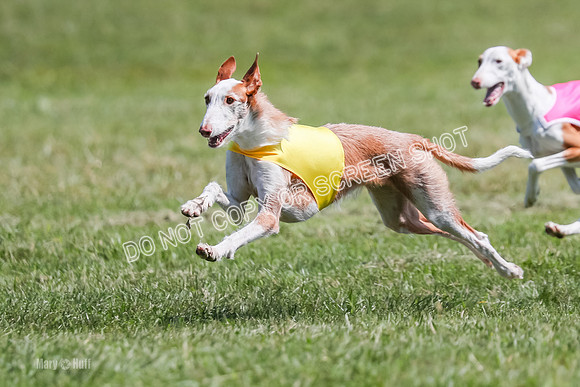 AE4I2602