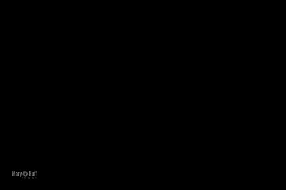 AE4I5143