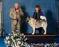 Elkhound 2020-1076