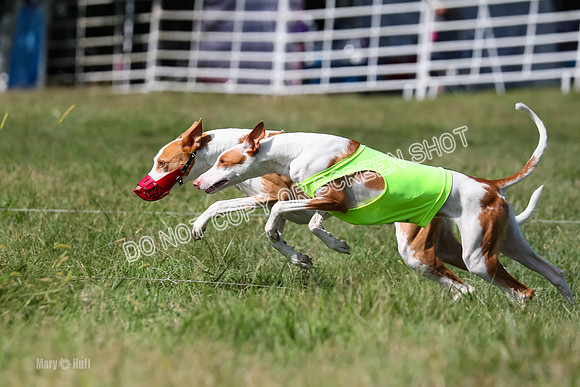 Open Prelim B2, Latte, Wizard-7867