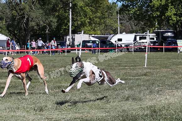 Prg 3, Race 3, Flynn Warrior Clyps Rigby Echo Arrow-9605
