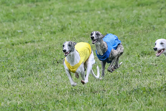 Prelim Open E1, Rip Mateo Maverick-9005