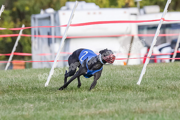 Prg 1, race 4, Rarity Hillary Barley Clyps-0638