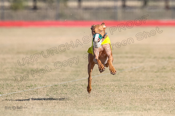 1Prelims Spec 2 Tango Cuest-0892