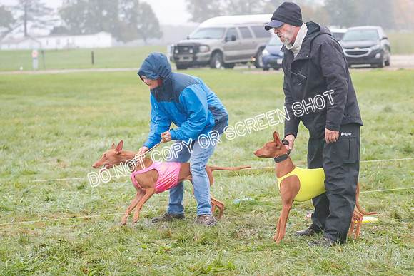 Prelim, Specials 2, Lucy-Luppa-0368