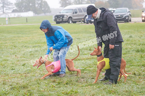 Prelim, Specials 2, Lucy-Luppa-0370