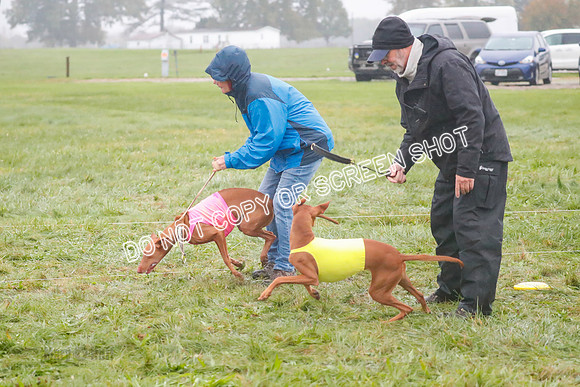 Prelim, Specials 2, Lucy-Luppa-0374