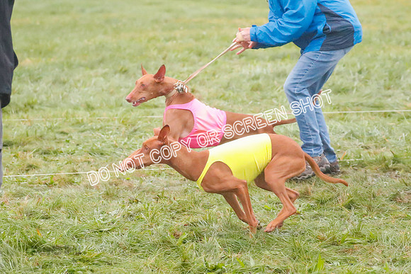Prelim, Specials 2, Lucy-Luppa-0378