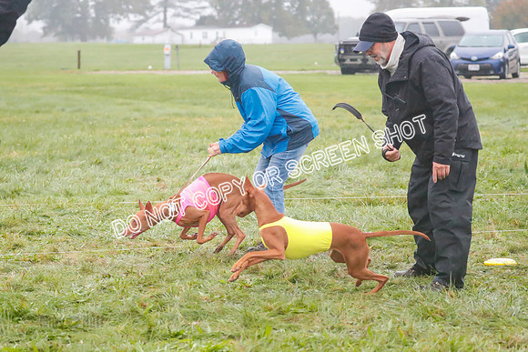 Prelim, Specials 2, Lucy-Luppa-0375