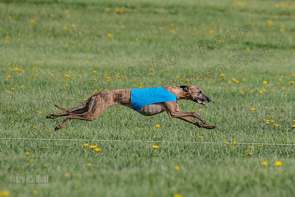 1Prelims Open E1 Boujee Riptide Zaza-0741