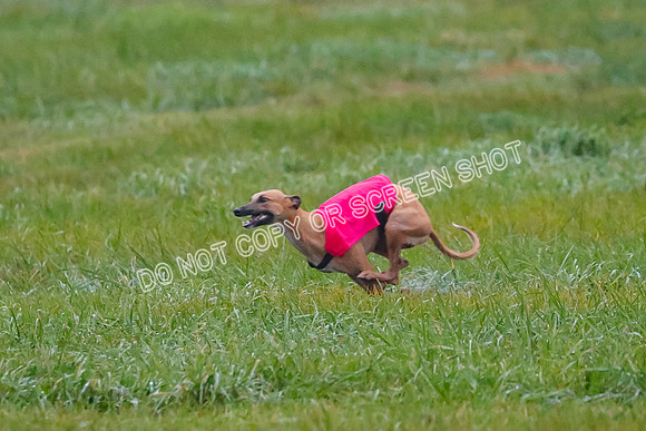 Prelim, Open 3, W, Katana-Aerie-Clark -0559