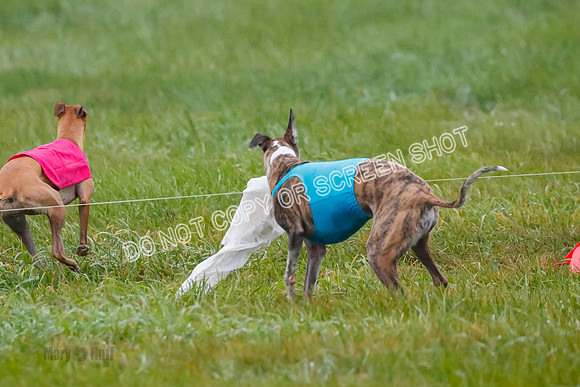 Prelim, Open 3, W, Katana-Aerie-Clark -0571