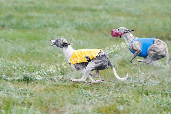 Prelim, Open 1, W, Britta-Booster-Clara-0473