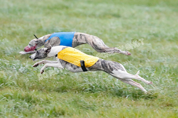 Prelim, Open 1, W, Britta-Booster-Clara-0467