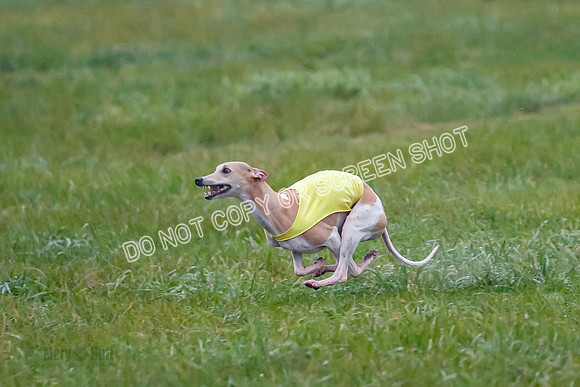 Prelim, Open 3, W, Katana-Aerie-Clark -0564
