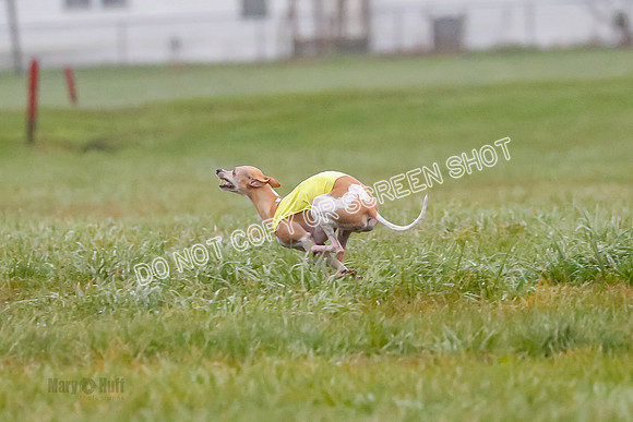 Prelim, Open 3, W, Katana-Aerie-Clark -0606