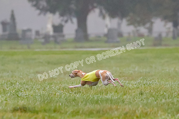 Prelim, Open 3, W, Katana-Aerie-Clark -0610