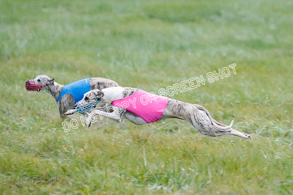 Prelim, Open 1, W, Britta-Booster-Clara-0459