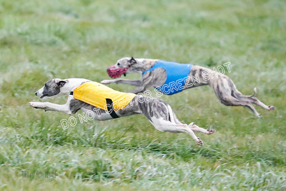 Prelim, Open 1, W, Britta-Booster-Clara-0471
