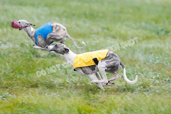Prelim, Open 1, W, Britta-Booster-Clara-0465