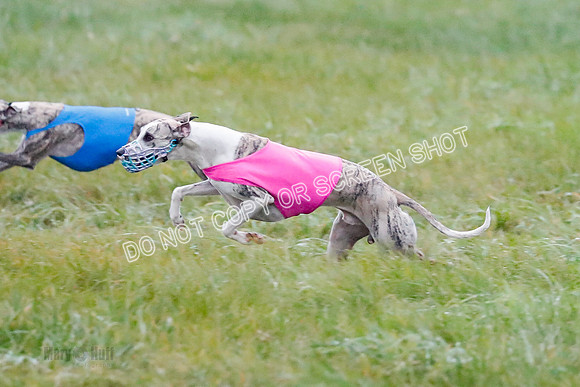 Prelim, Open 1, W, Britta-Booster-Clara-0458